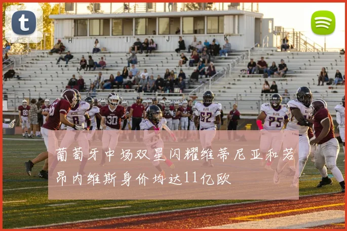 葡萄牙中场双星闪耀维蒂尼亚和若昂内维斯身价均达11亿欧