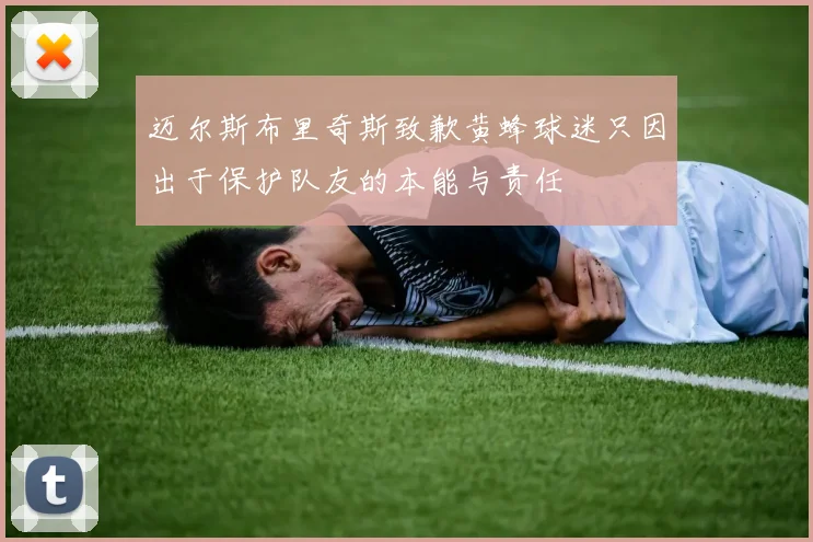 迈尔斯布里奇斯致歉黄蜂球迷只因出于保护队友的本能与责任