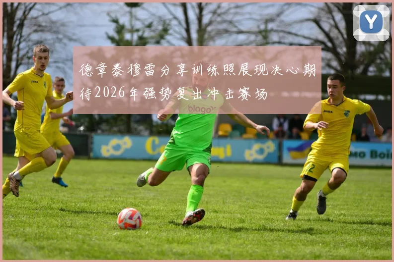 德章泰穆雷分享训练照展现决心期待2026年强势复出冲击赛场